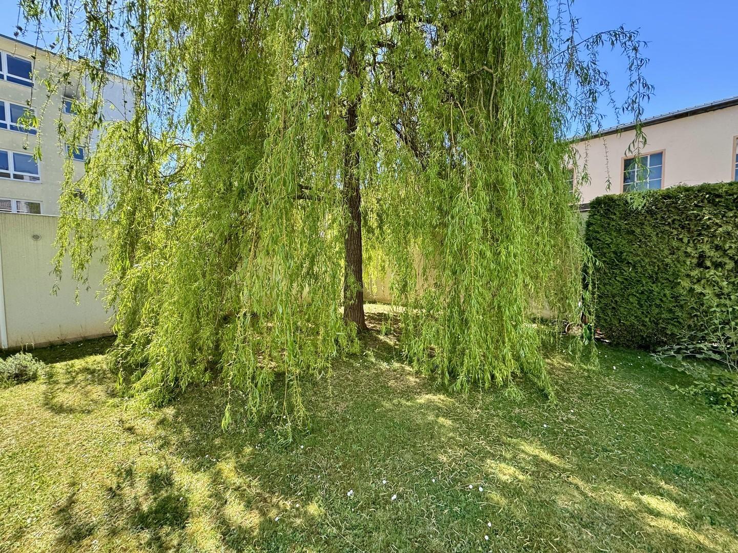 Gemeinschaftsgarten