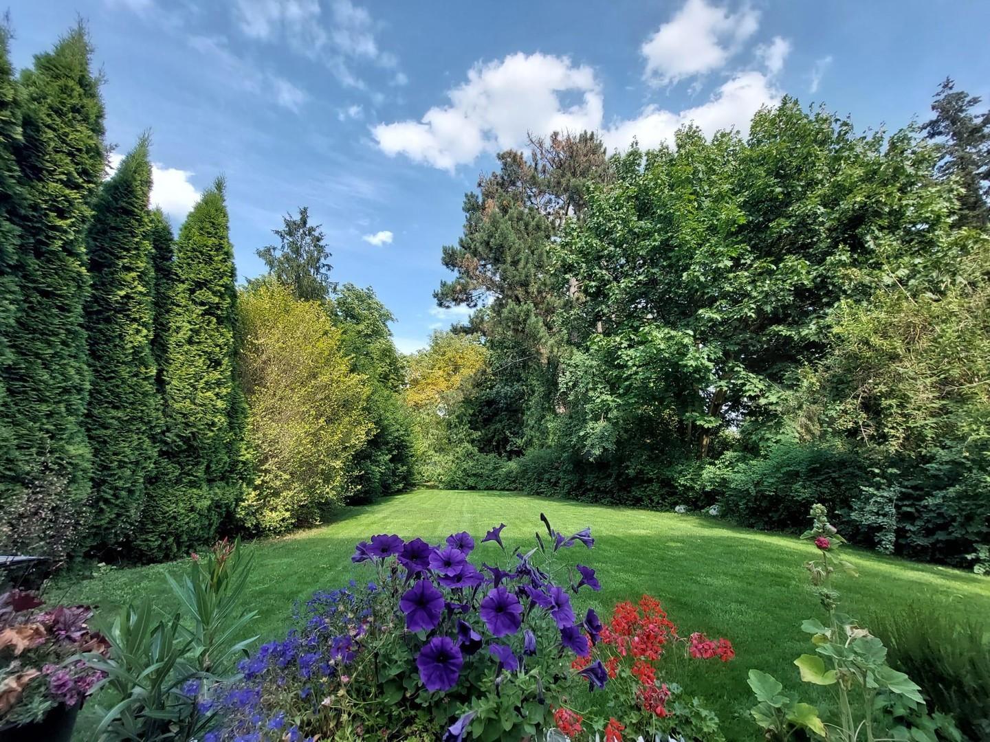 Garten & Park von Terrasse (1)