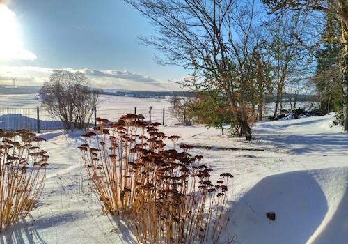 Faszination Winter
