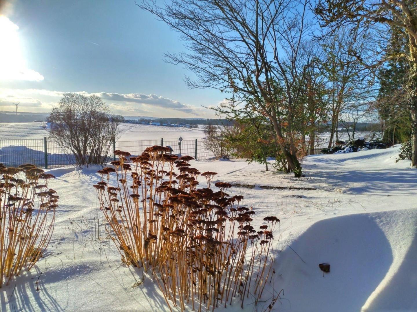 Faszination Winter