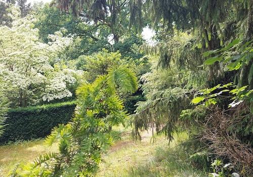 Gartenbereich neben Terrasse