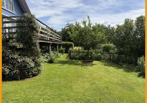 Blick in den Garten