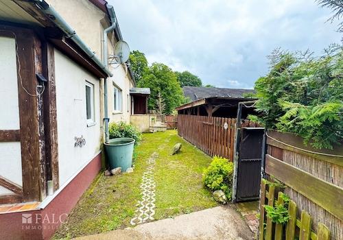 Garten Seite mit Blick zum Nachbarn