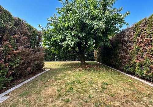 Garten (5)