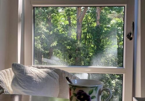 Blick in den Garten