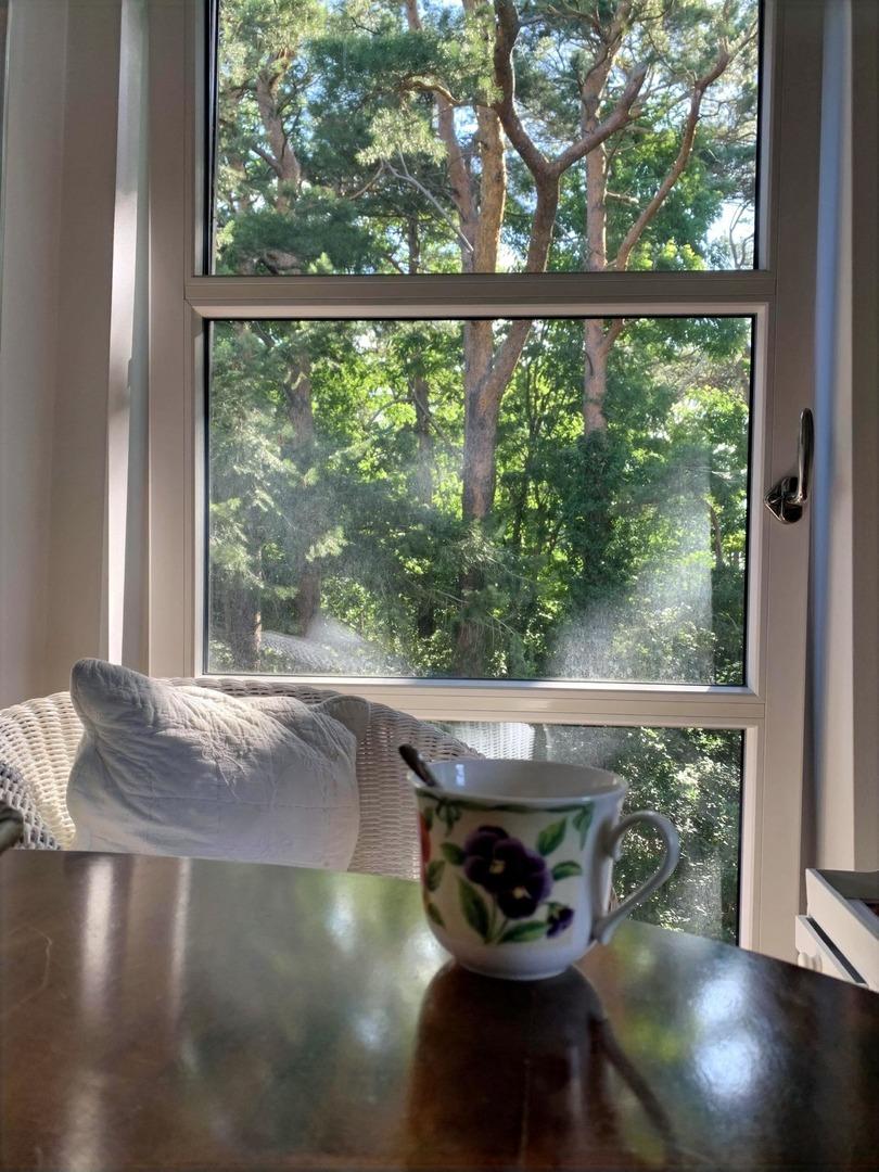 Blick in den Garten