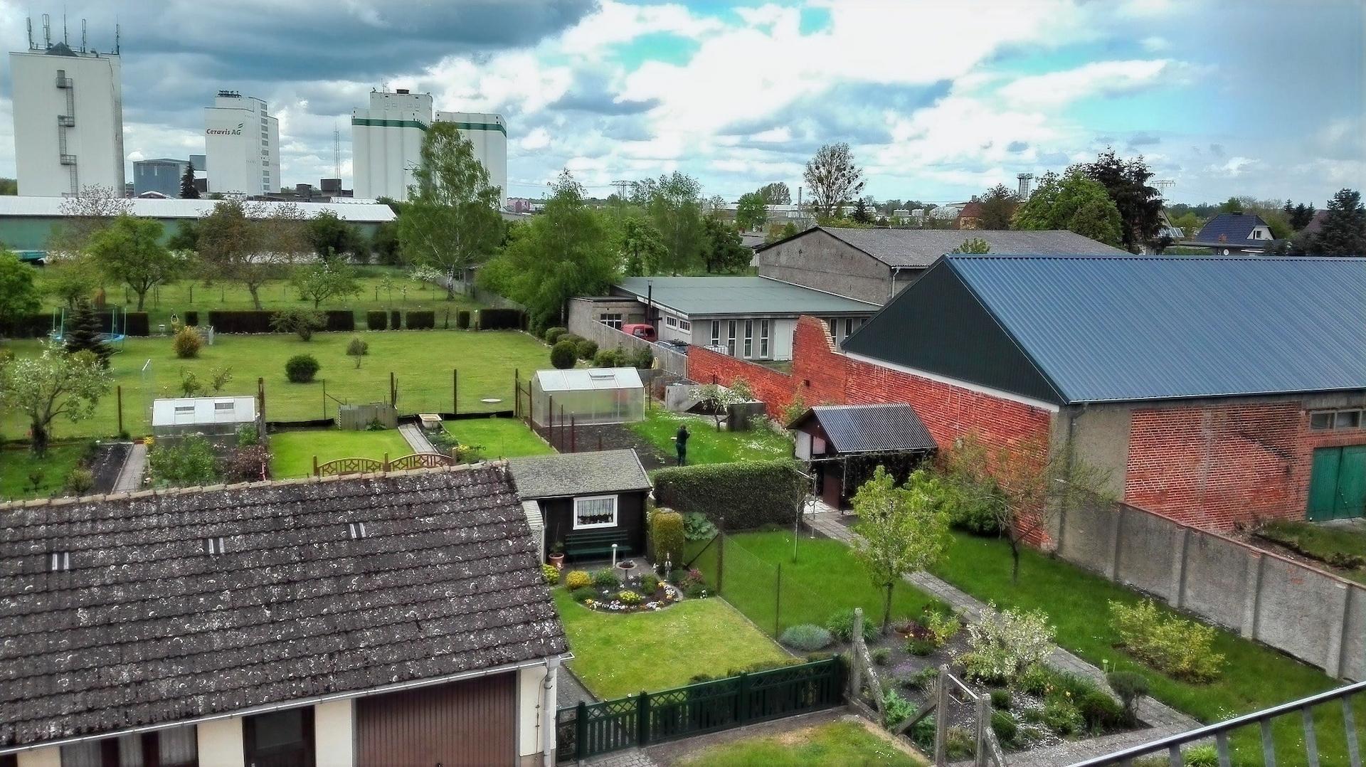 Blick ins Grüne