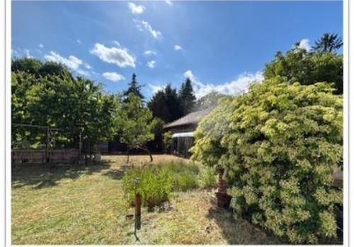 Blick in den Garten vom Haus 