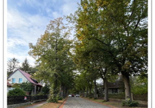 Historische Wohnstraße 