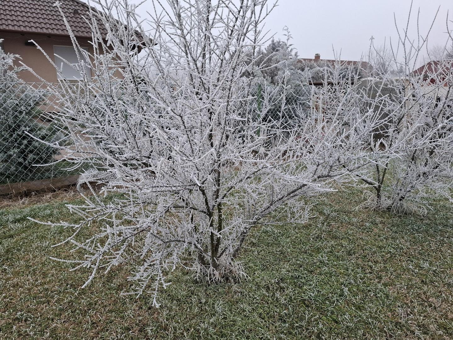 Wintereindruck 2 im Garten