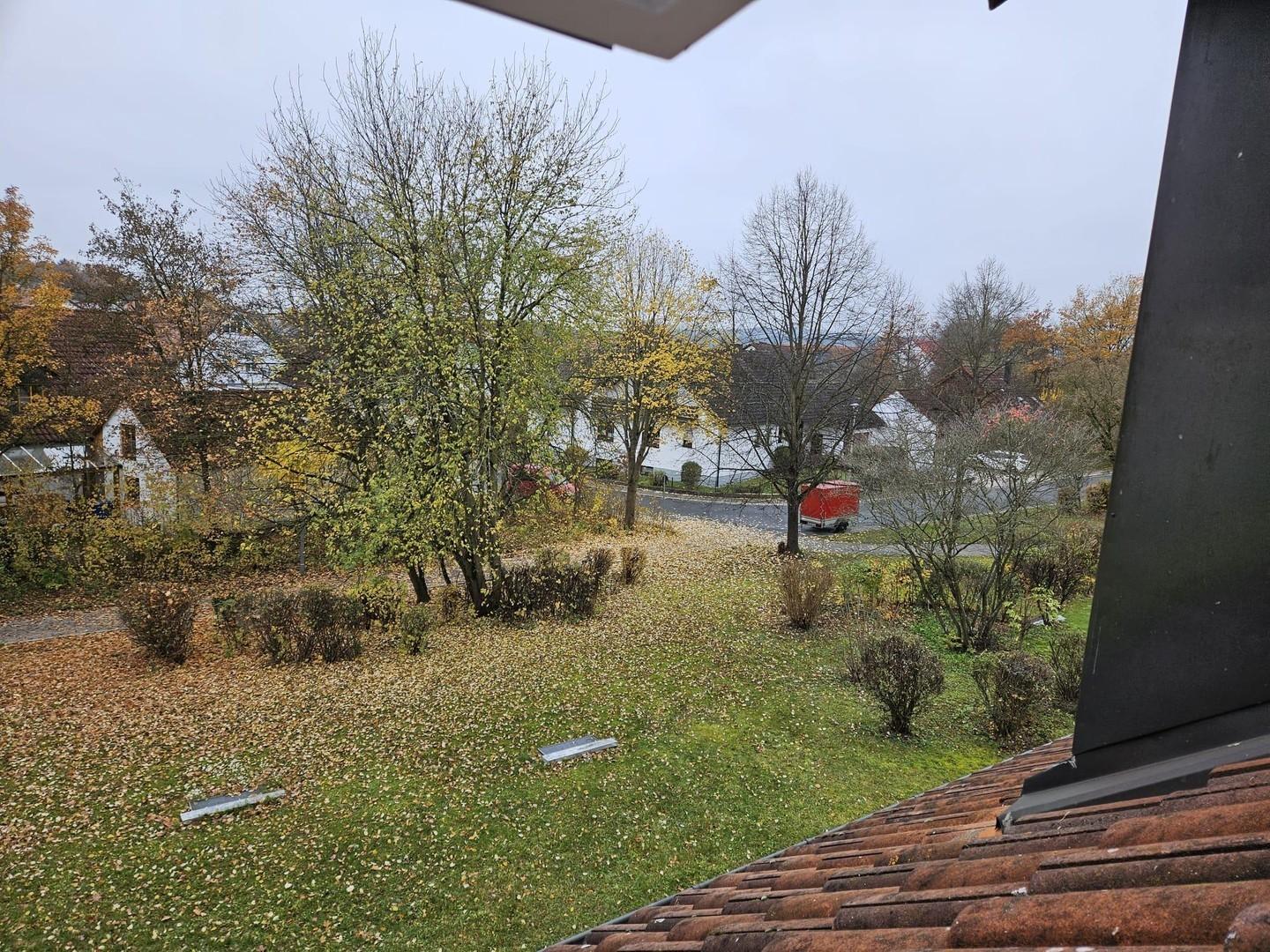 Ausblick