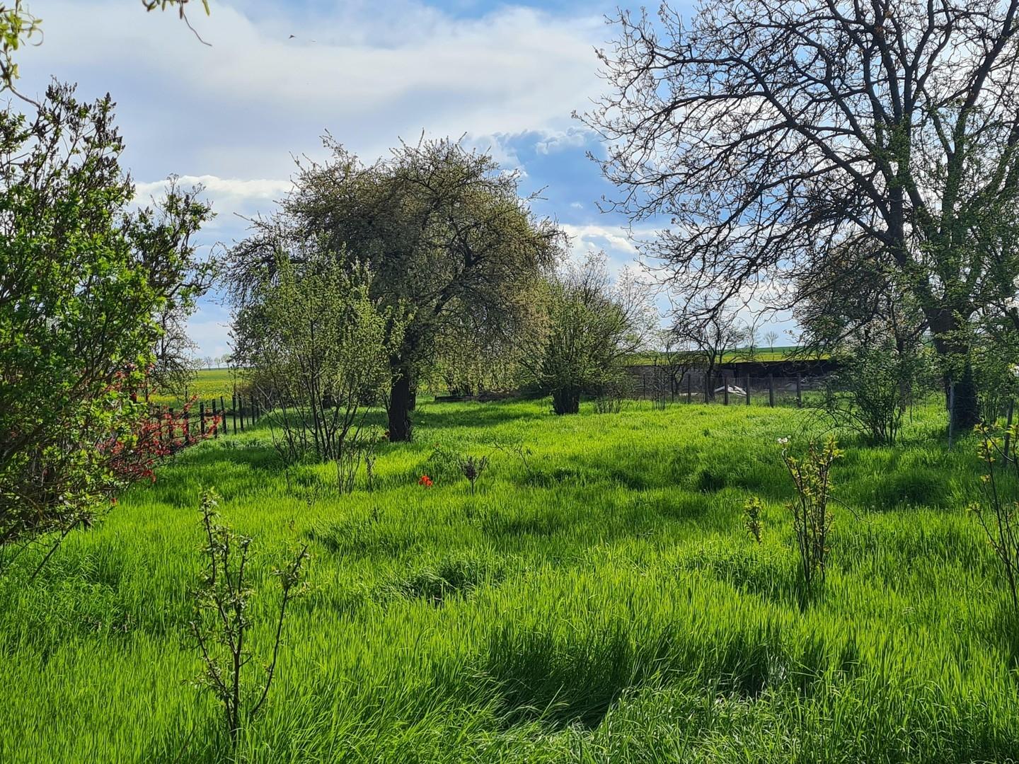Idylle