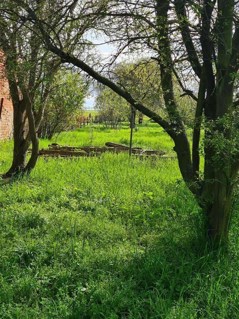 Längsblick