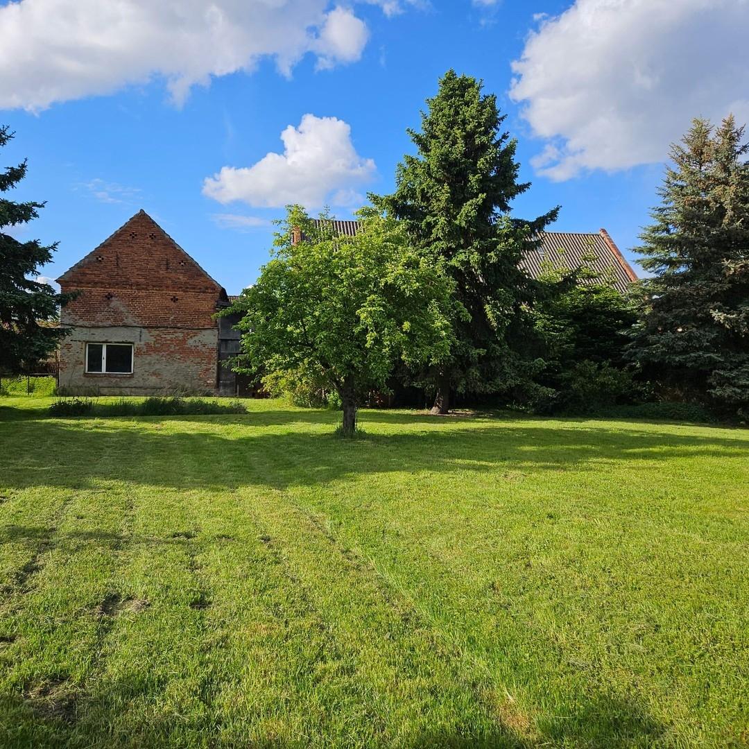 Garten mit Nebengebäude