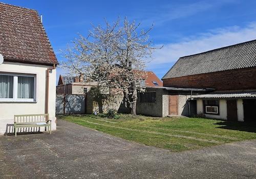 Straße mit Blütenbaum