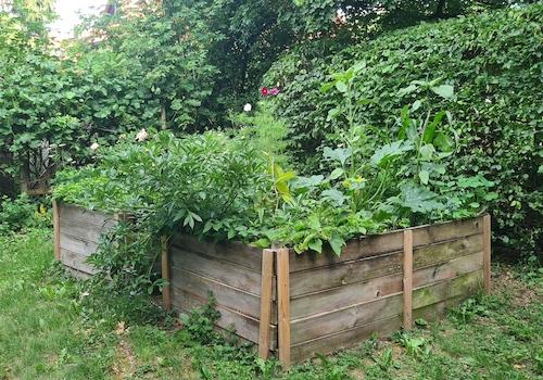 Gemüsegarten