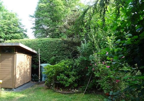 Garten mit Gartenhaus