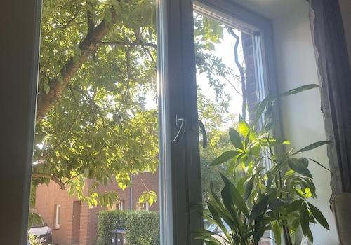 Ausblick zur Straße