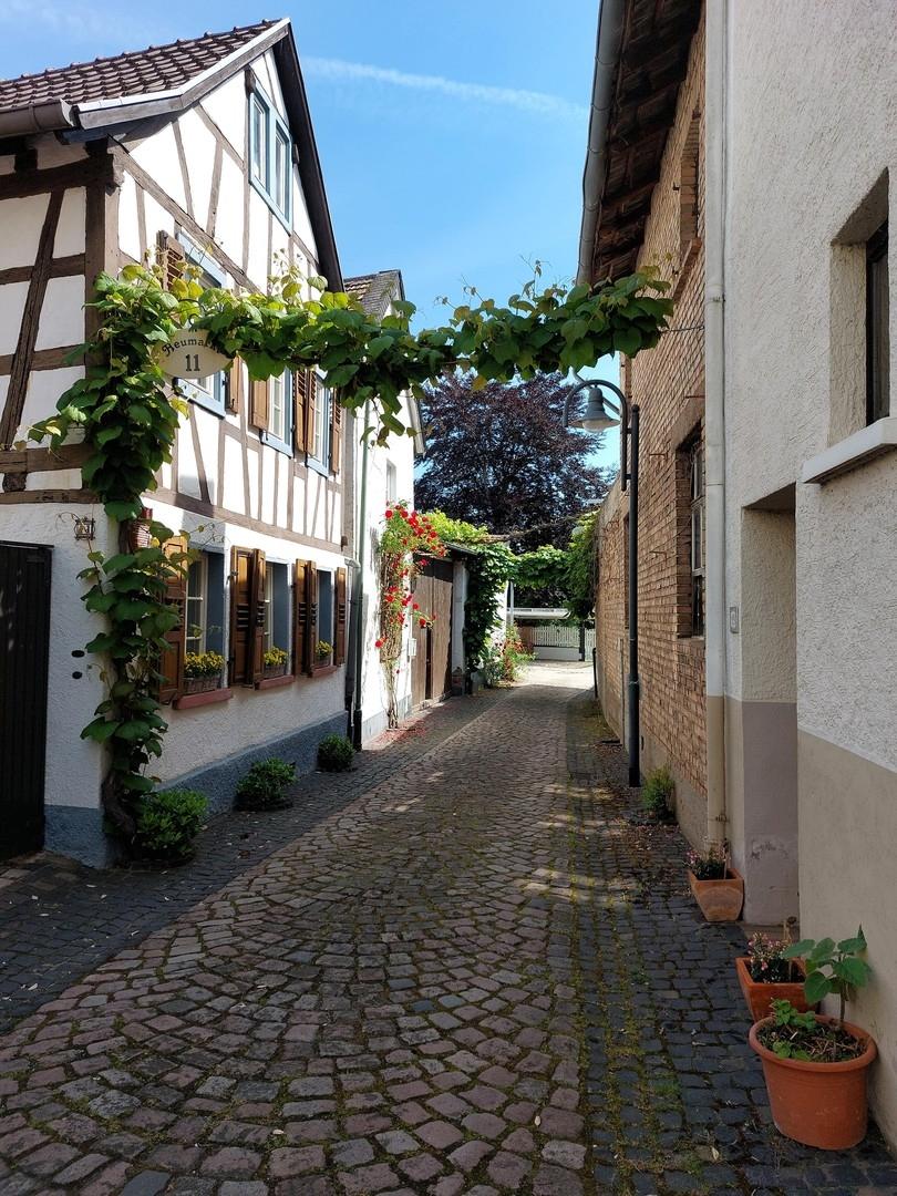 Gasse mit Hufschmiede