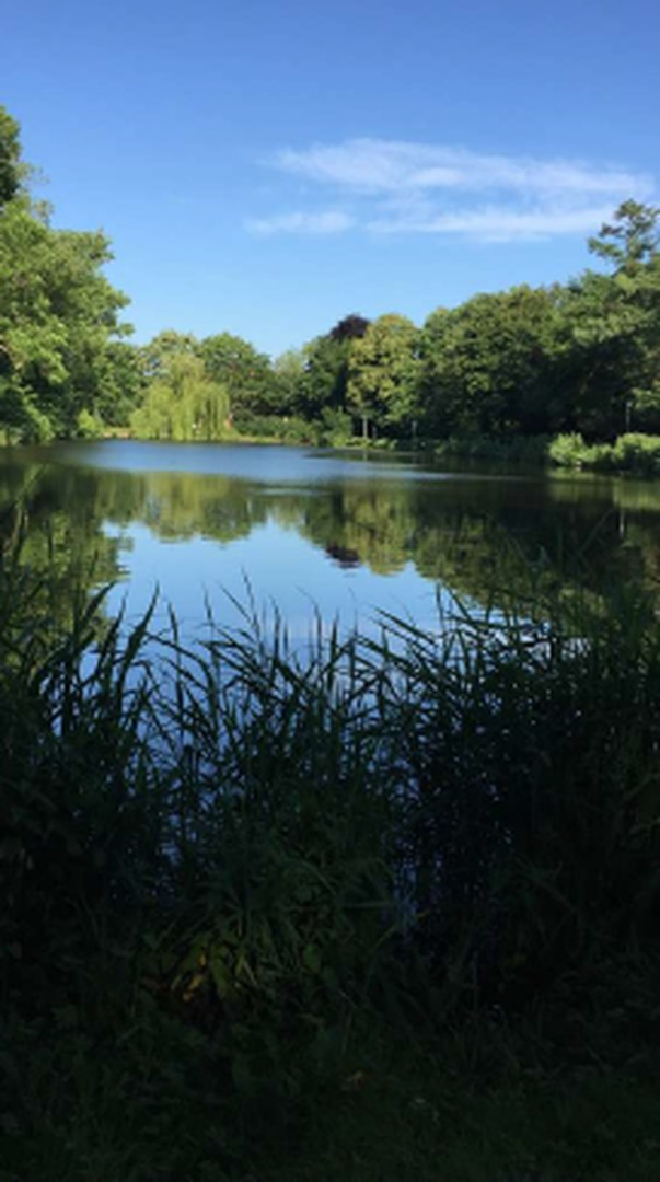 Seeblick