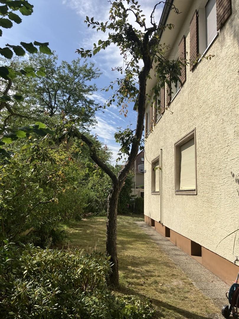 Vorgarten Ostseite
