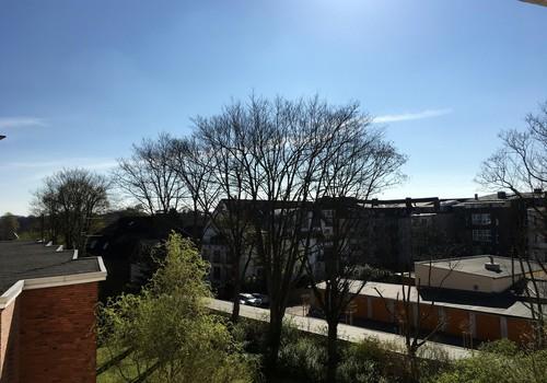 Blick ins Grüne