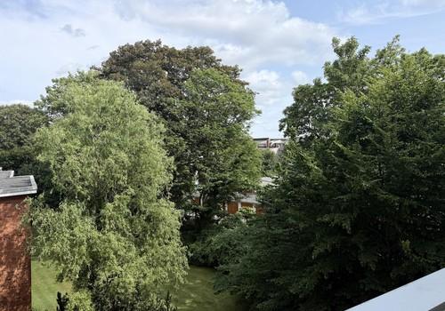 Blick aus der Küche