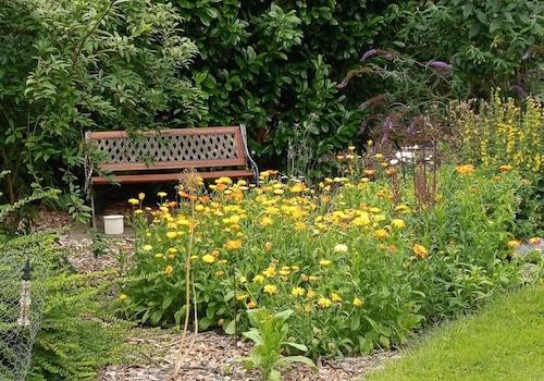 Garten