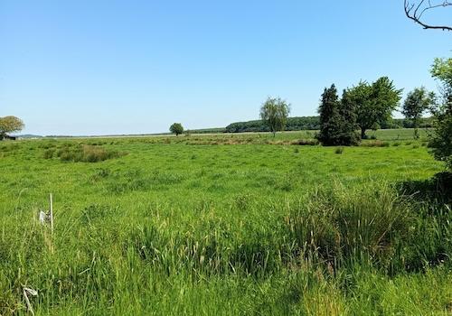 Weitsicht