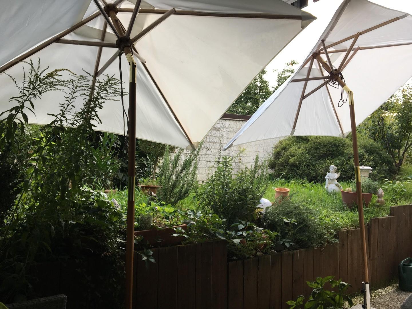 Terrasse 1