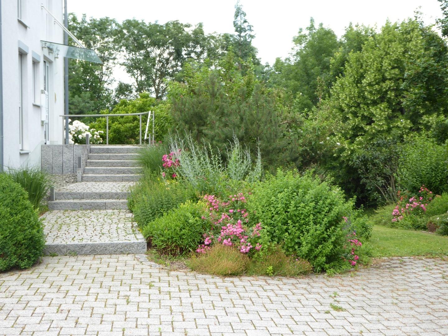 Weg zum Eingang