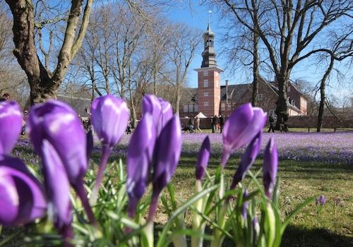 Husum