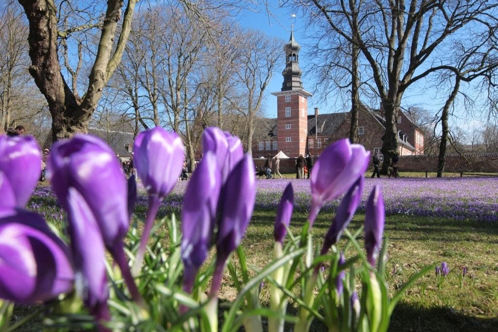 Husum