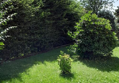 Gartenmitbenutzung möglich