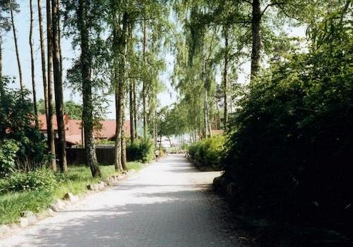 Zum See