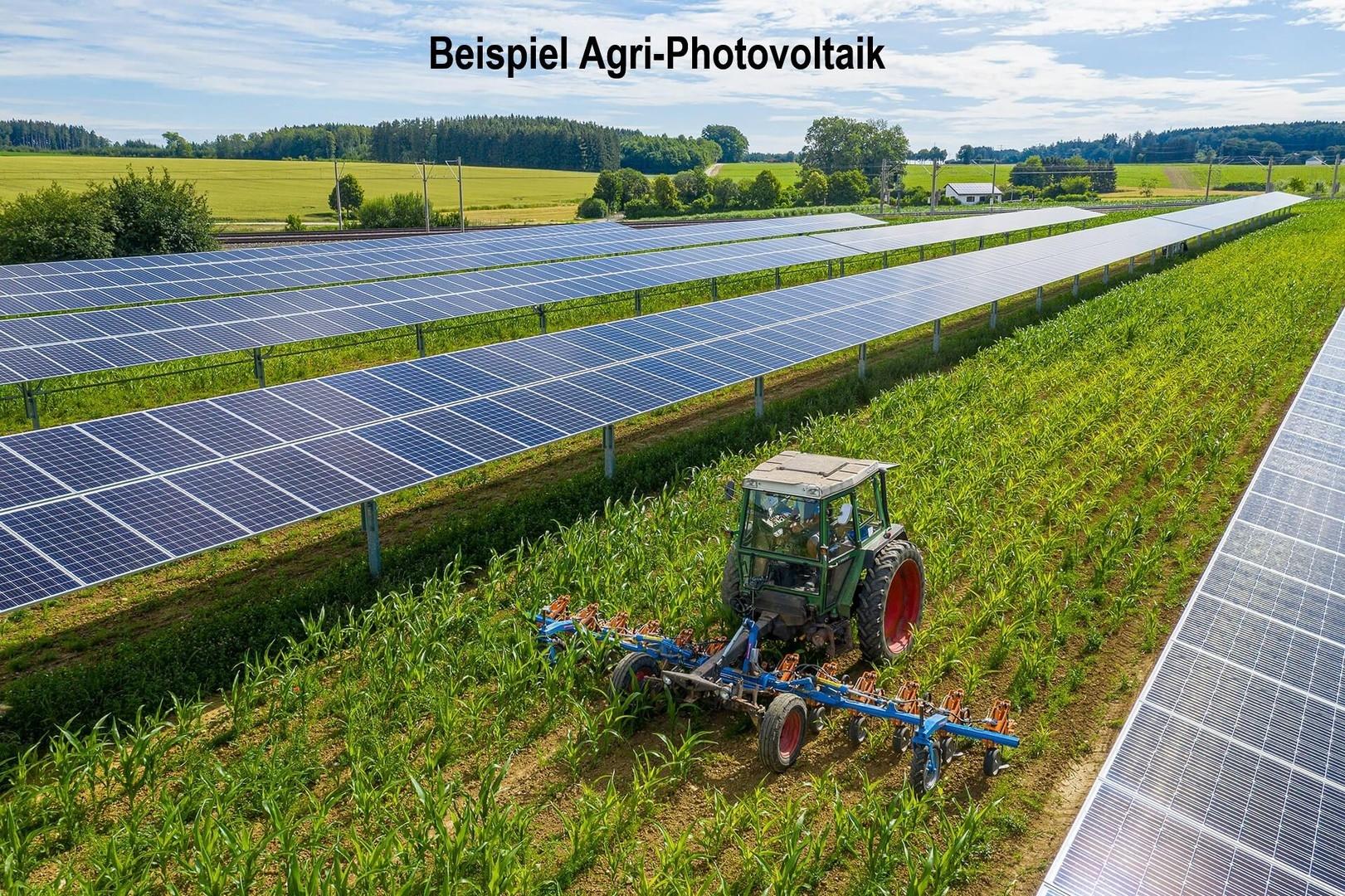 Beispiel Agri-Photovoltaik