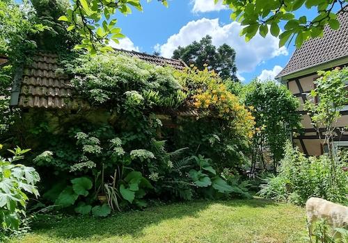 Gartenansicht und Hexenhaus