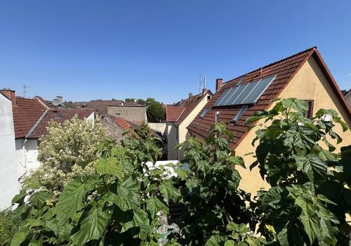 Ausblick