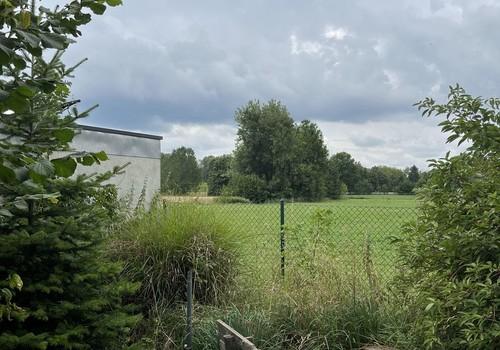 Blick aufs Feld