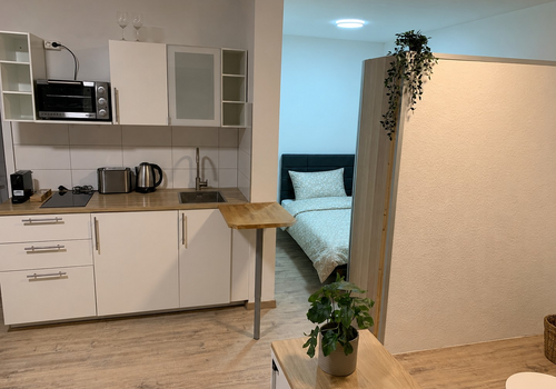 Küche und Blick ins Schlafzimm