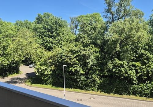 mitten im Grünen