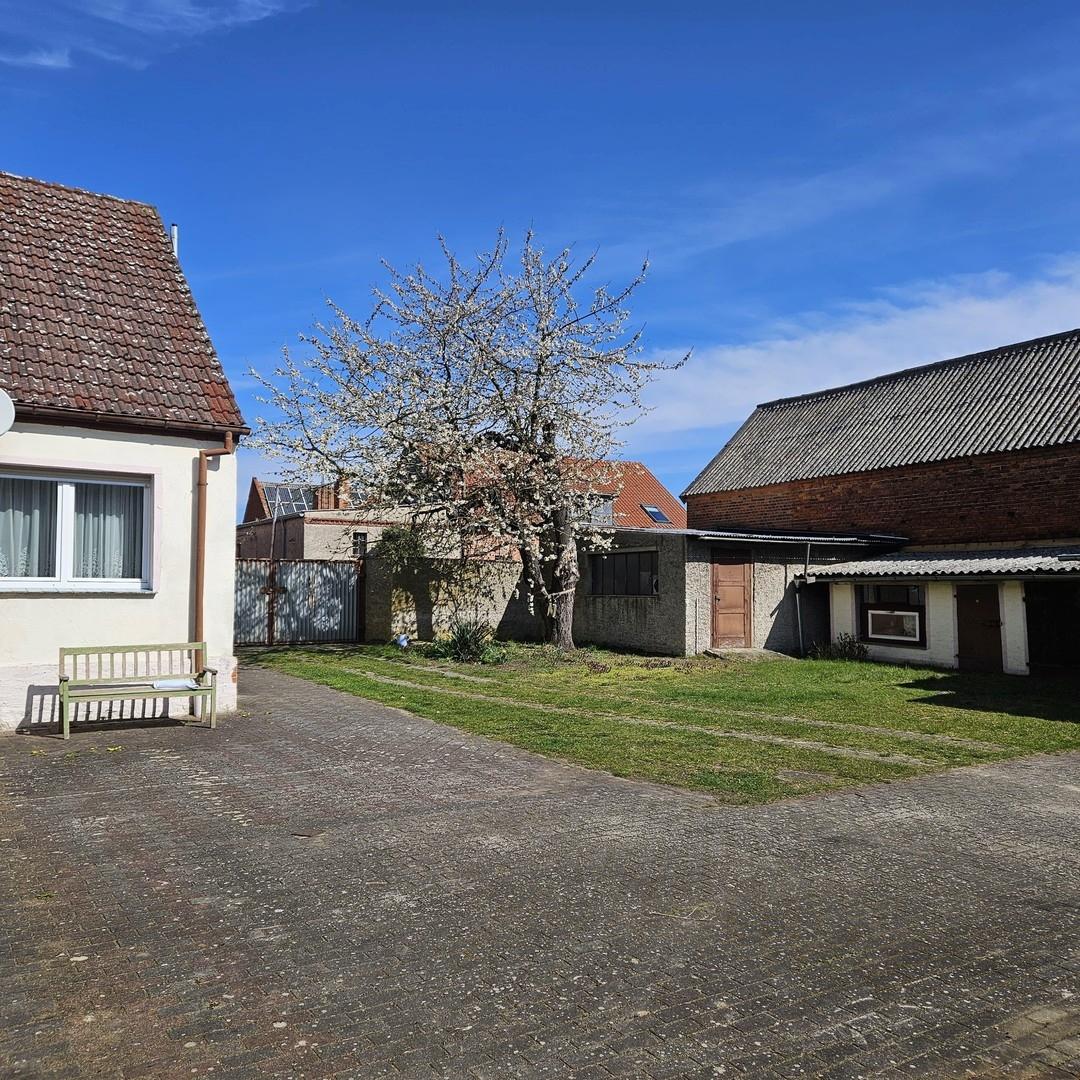 Straße mit Blütenbaum