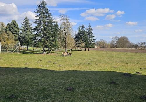 Wiese mit Nachbarhäusern
