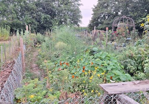 Garten Hügelbeet