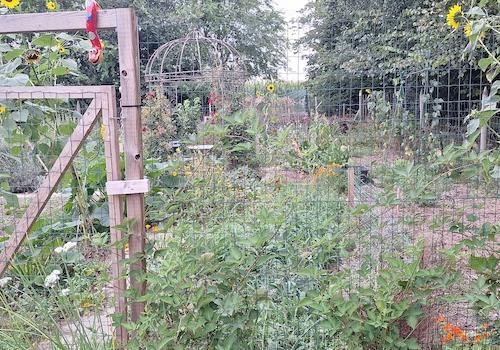 Garten