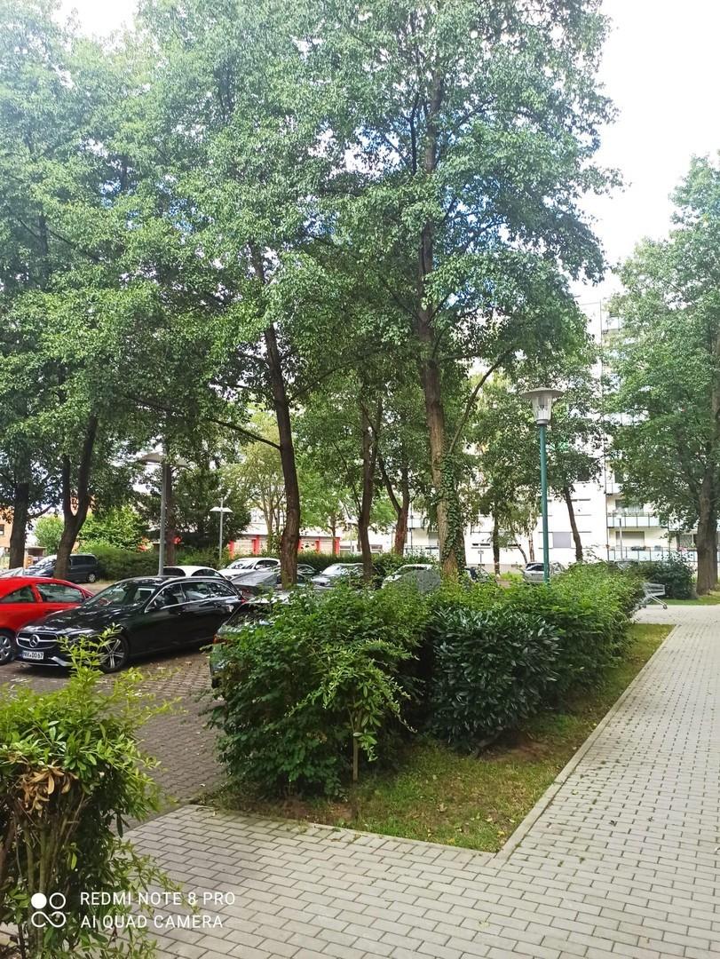 Außenanlage I 