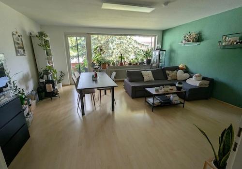Wohnzimmer inkl. Zugang Balk.