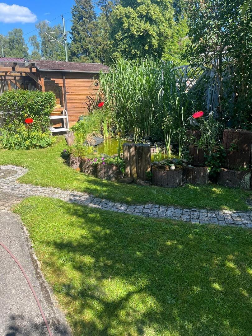 Teich & Gartenbereich