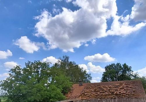 Ausblick in die Natur