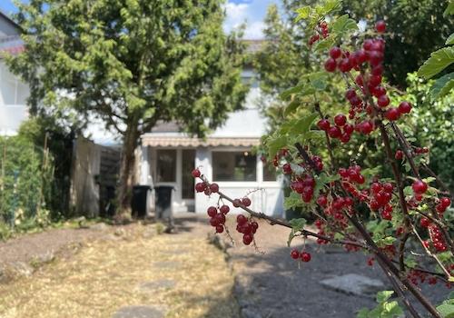 Garten
